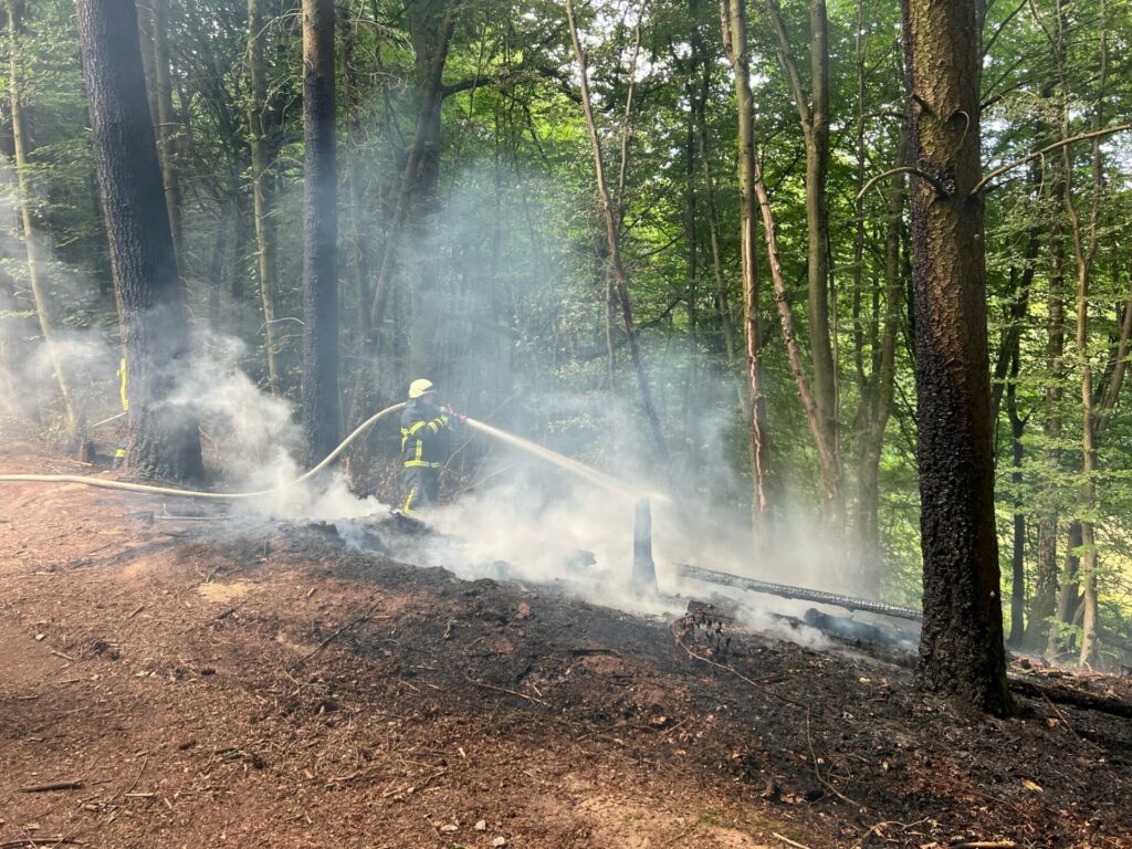 In Oberwürzbach schlugen vergangene Woche Flammen 7-8 Meter an Bäumen empor. Deutlich sind die Brandschäden an den Bäumen zu erkennen. - © Marco Schmeltzer